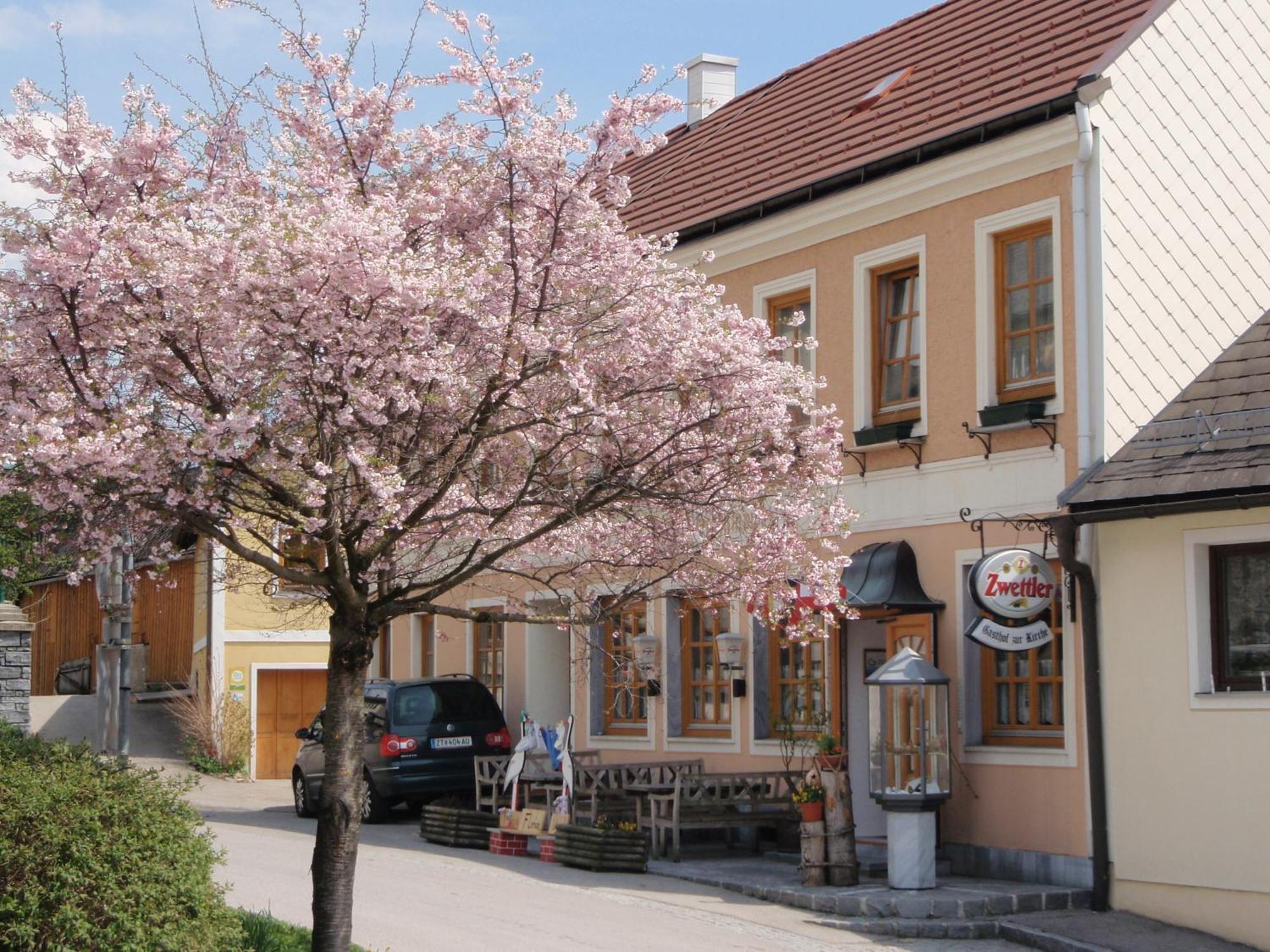 ホテル Gasthof Zur Kirche Kottes エクステリア 写真